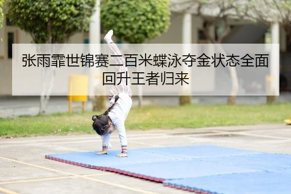zhang-yu-fei-shi-jin-sai-er-bai-mi-die-yong-duo-jin-zhuang-tai-quan-mian-hui-sheng-wang-zhe-gui-lai-2-287.jpg